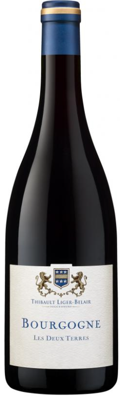 Image of Domaine Thibault Liger-Belair, Bourgogne Gamay 'Les Deux Terres' 2022